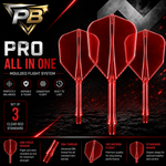 PB Darts Pro All In One Moulded Flight System