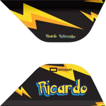 Datadart Ricardo Pietreczko Black Standard No2 Dart Flights